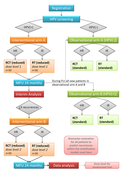 DETOX-Matrix I Picture