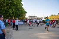 Teilnehmerrekord beim Benefizlauf im Großen Garten